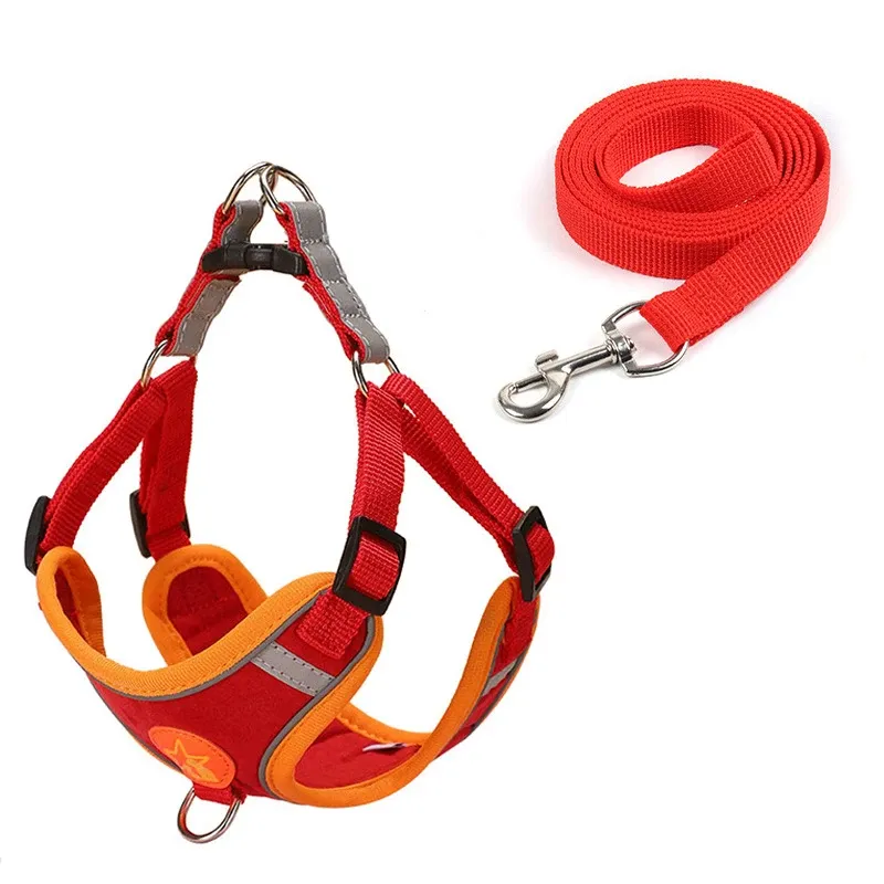 Harnais de traction en maille souple et respirante pour chiens de petite et moyenne taille 10
