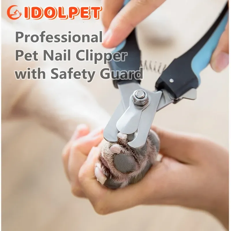 Coupe-ongles professionnel pour animaux de compagnie avec protection de sécurité, pince en acier inoxydable pour chats et chiens, pour le soin des griffes, accessoire de toilettage, taille adaptée 6
