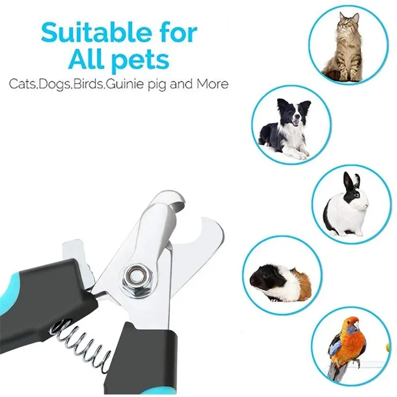 Toilettage des ongles d'un animal de compagnie