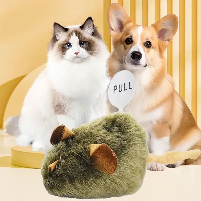 Jouet interactif pour chat