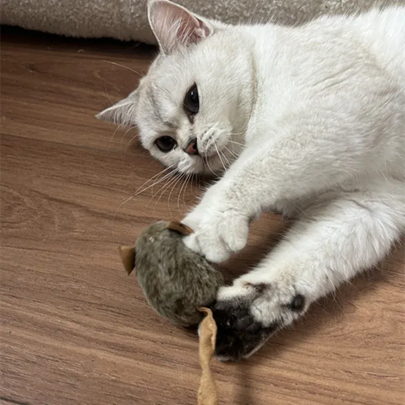 Souris en peluche pour chat en situation