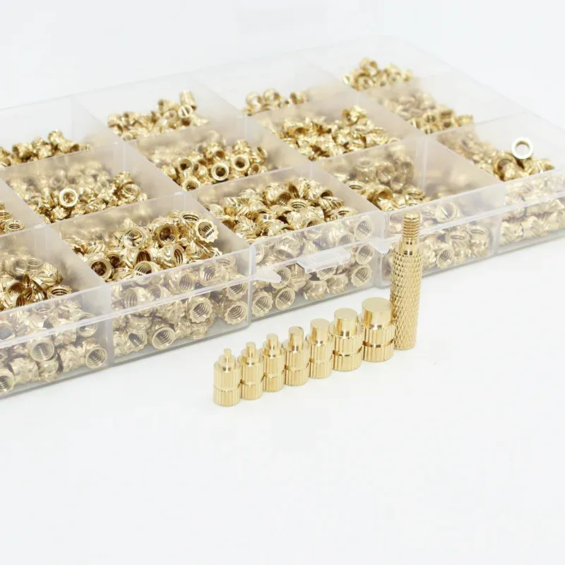 Outil de pose d'inserts thermofusibles, assemblage