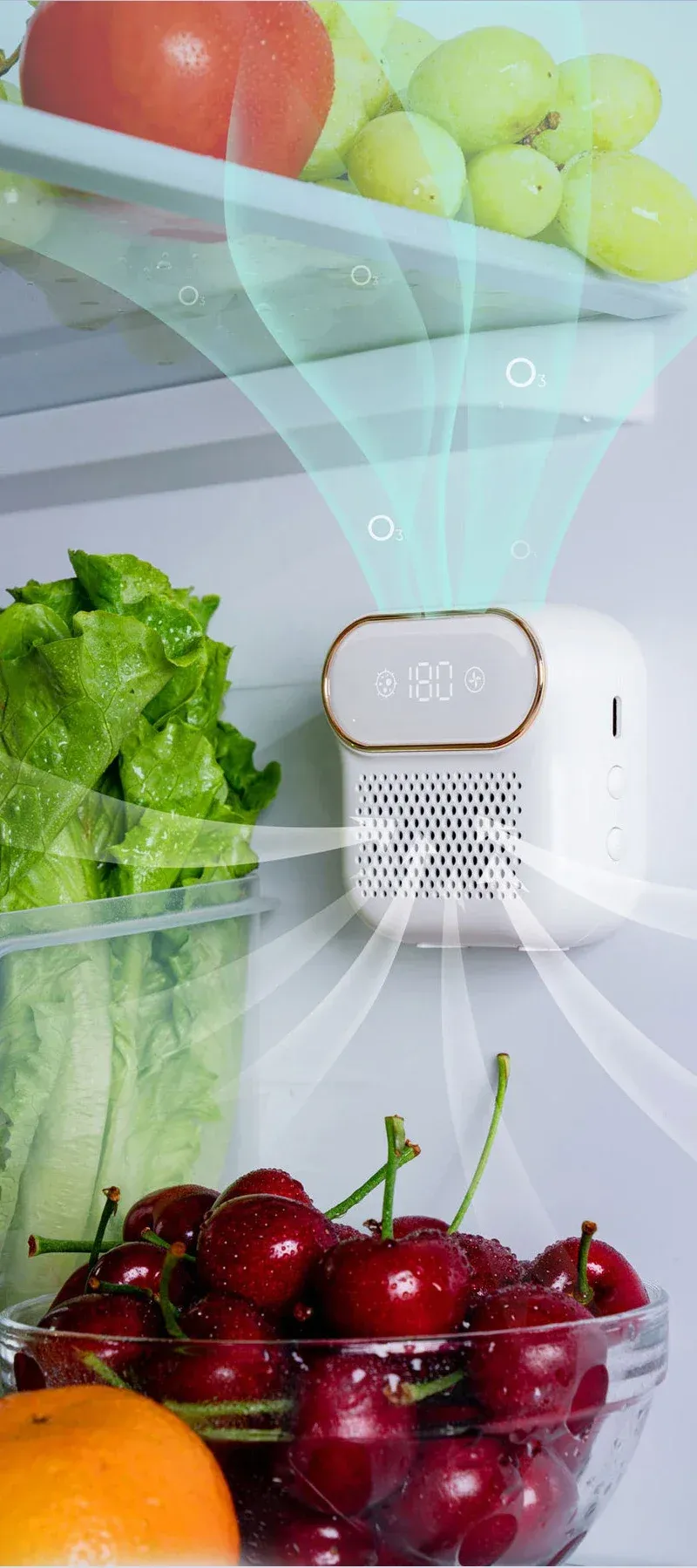 Utilisation dans la cuisine