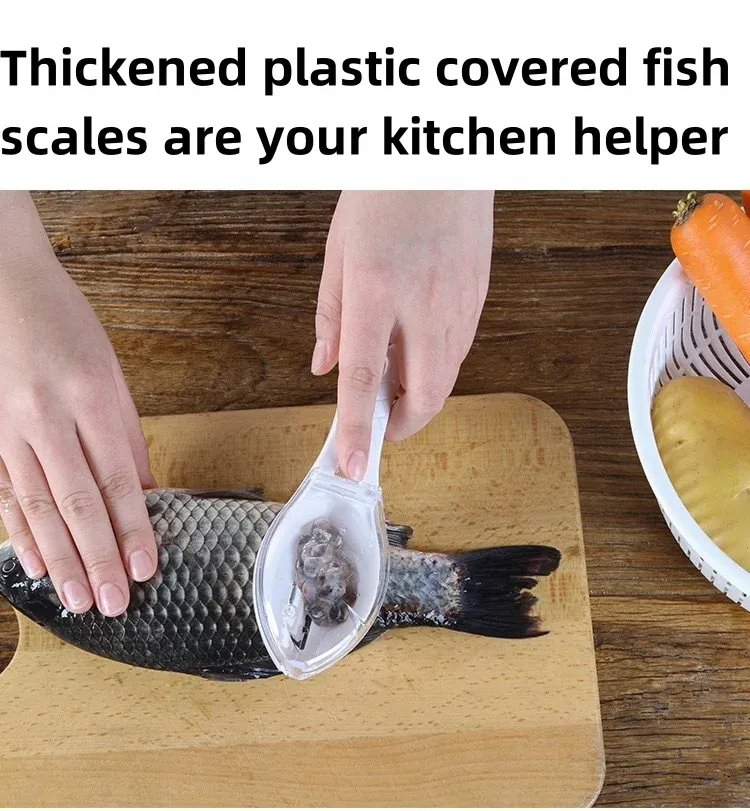 Grattoir à écailles de poisson pour la cuisine