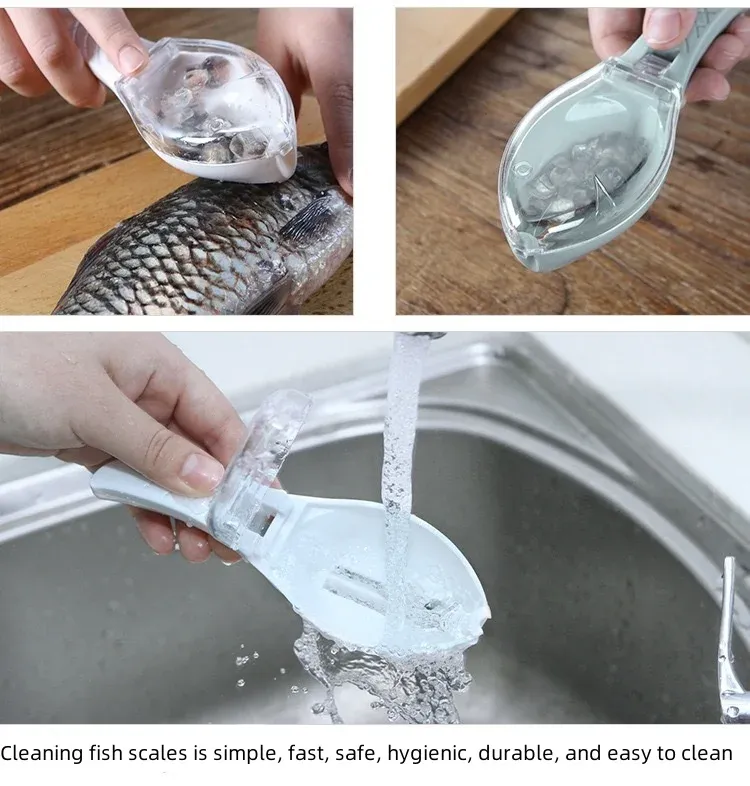 Utilisation du grattoir pour nettoyer un poisson