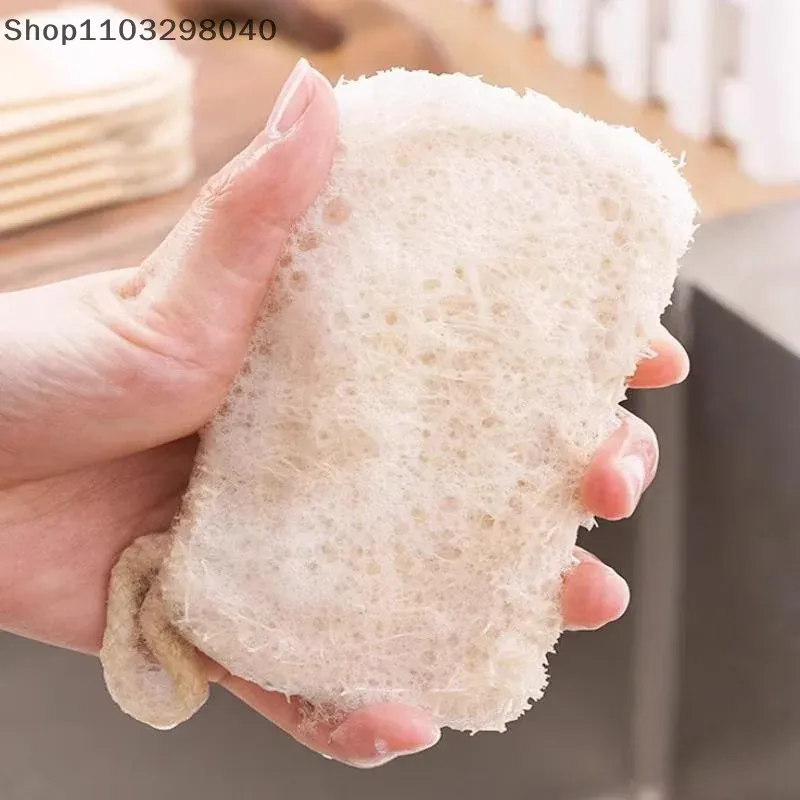 Lot d'éponges en luffa naturel