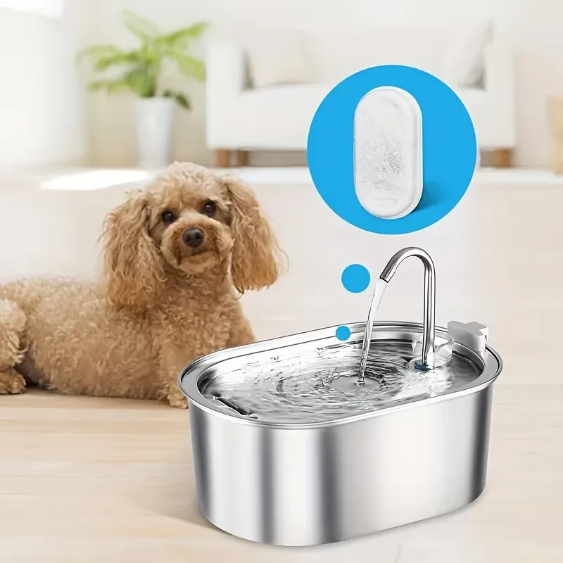 Entretien simple du filtre pour fontaine à eau