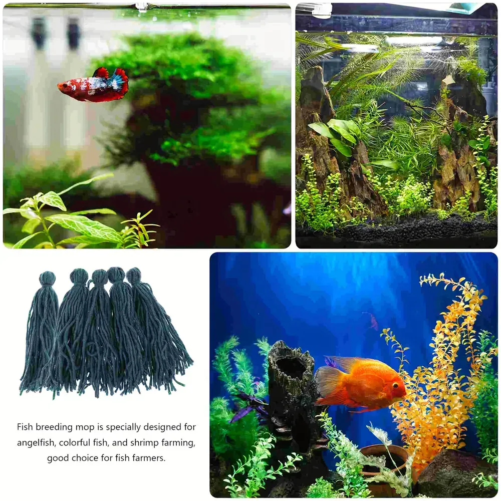 Fil de nidification dans un aquarium décoré