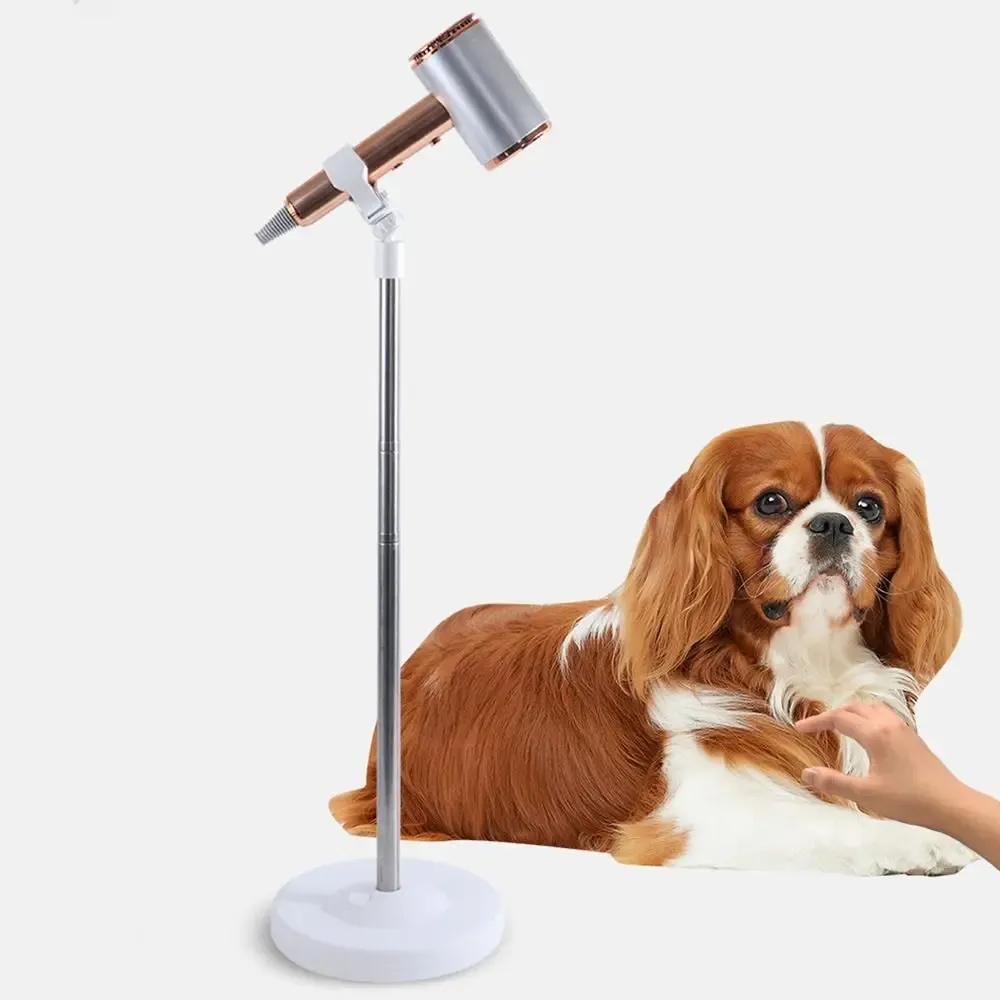 Le title is already in French, so I'll produce a cleaner, professional version.

Support rétractable pour sèche-cheveux pour animaux de compagnie, hauteur réglable, rotatif, support de rangement pour sèche-cheveux, base stable, universel 3