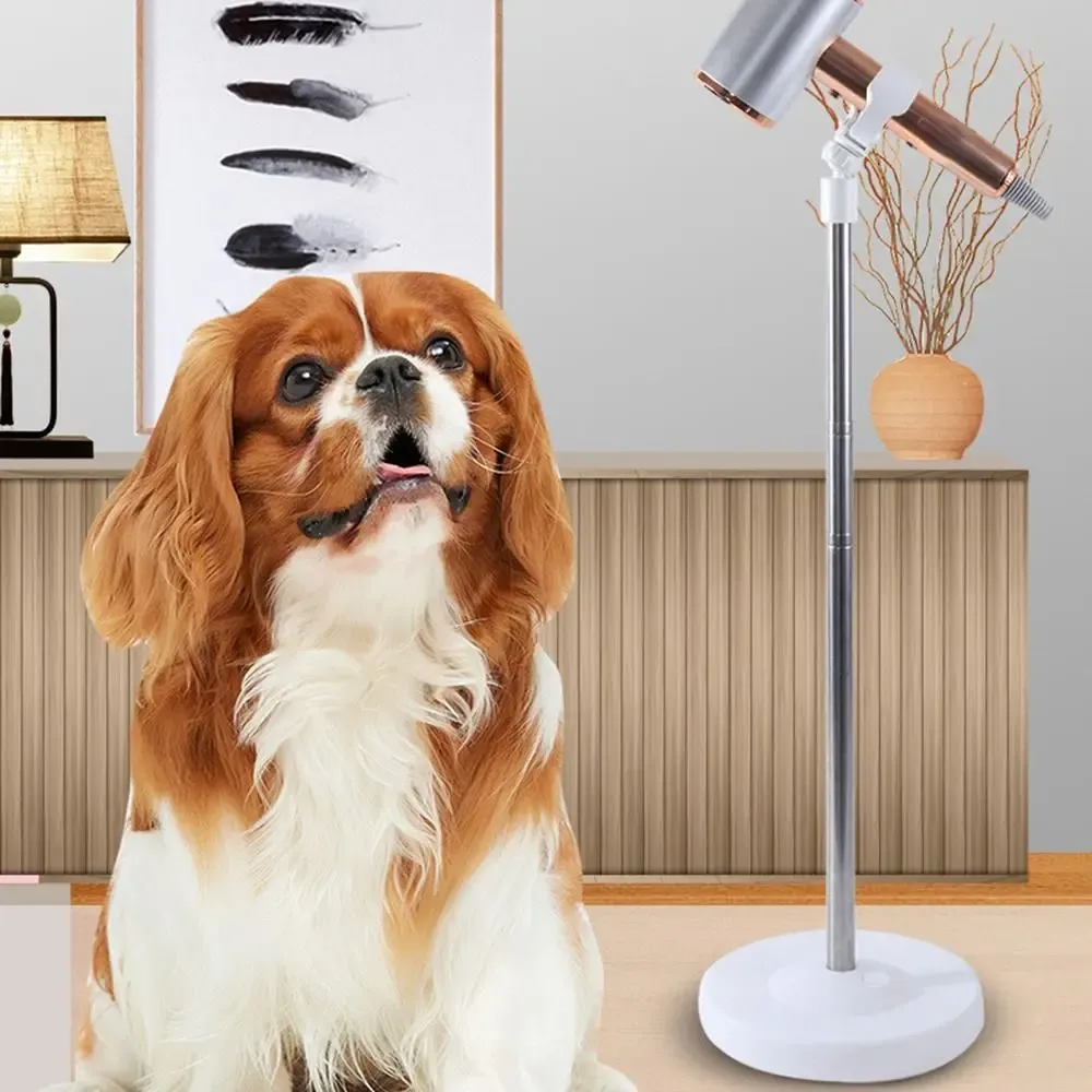 Support de sèche-cheveux pour animaux, utilisation au comptoir