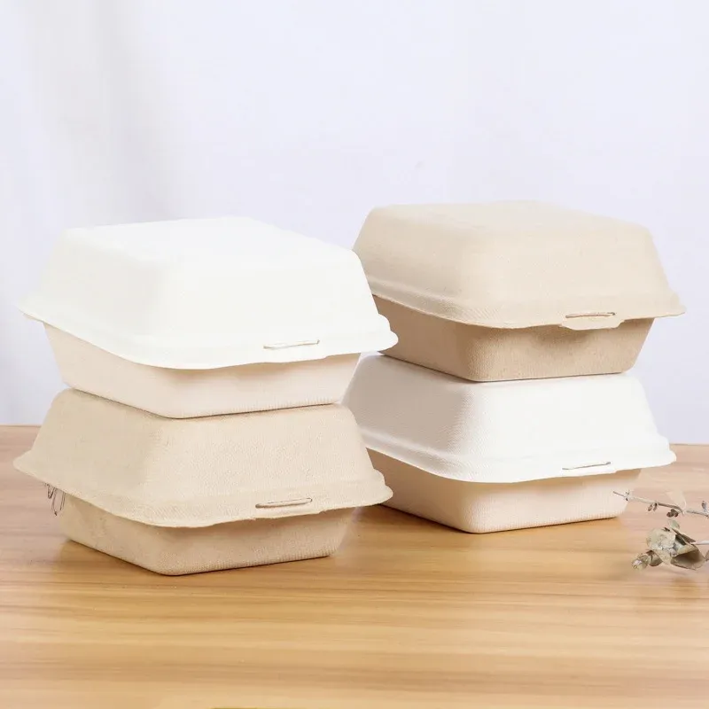 Boîte à bento jetable biodégradable, vue d'ensemble