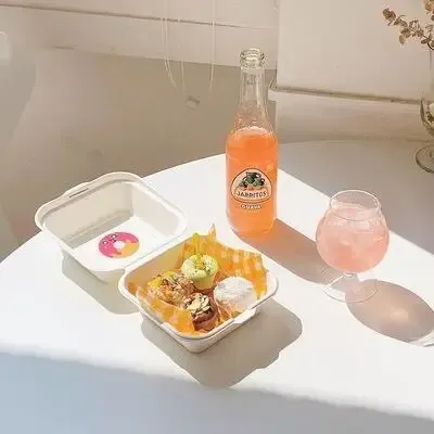 Détail de la boîte à bento jetable