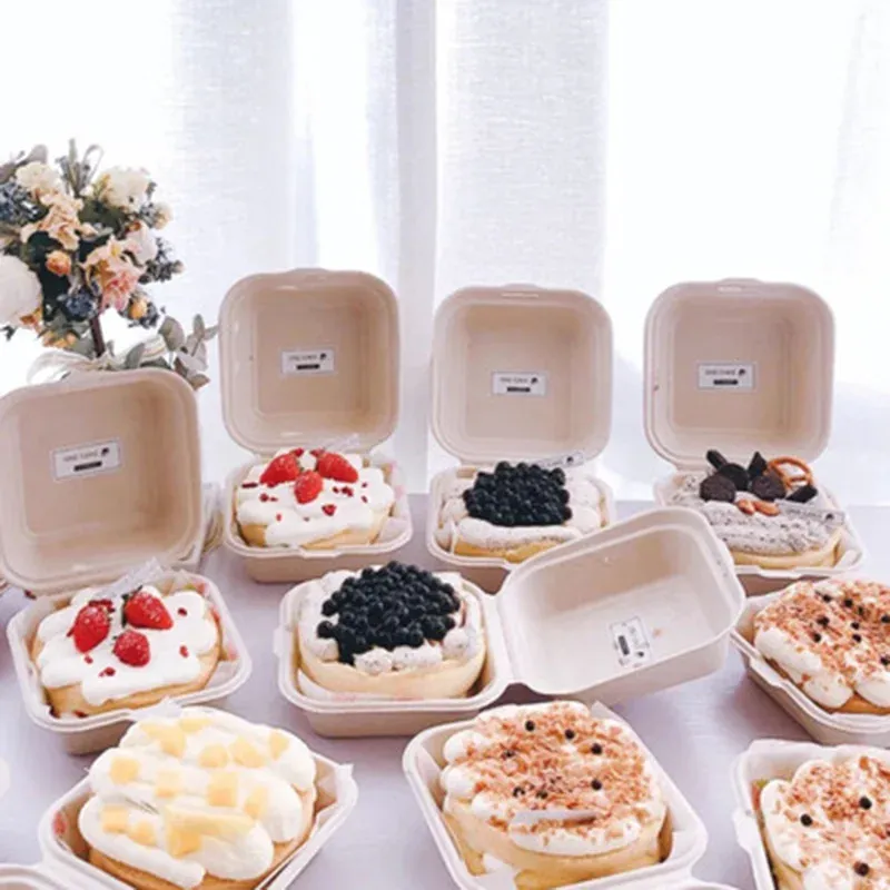 Boîte à bento jetable, ambiance culinaire