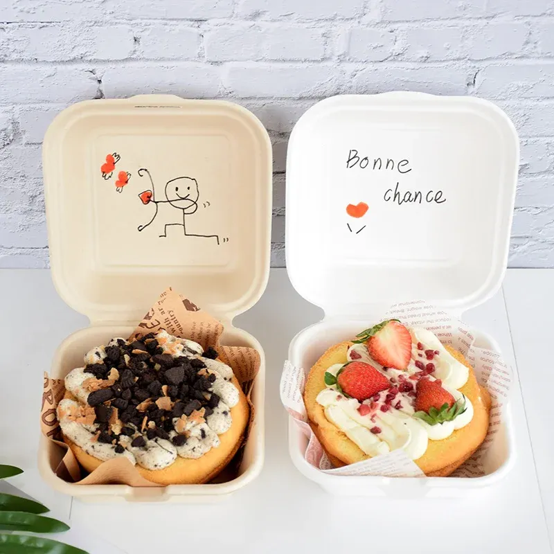 Boîte à bento jetable, vue détaillée