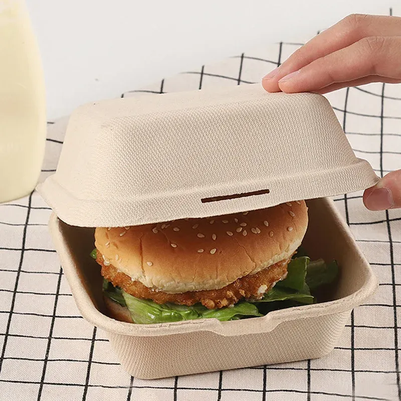Boîte à bento jetable, présentation produit