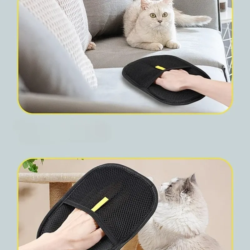 Ensemble d'accessoires pour animaux de compagnie
