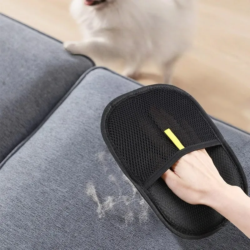 Détail des accessoires pour animaux de compagnie