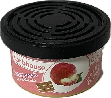Désodorisant pour voiture parfum citron, longue durée, élimine les odeurs 18