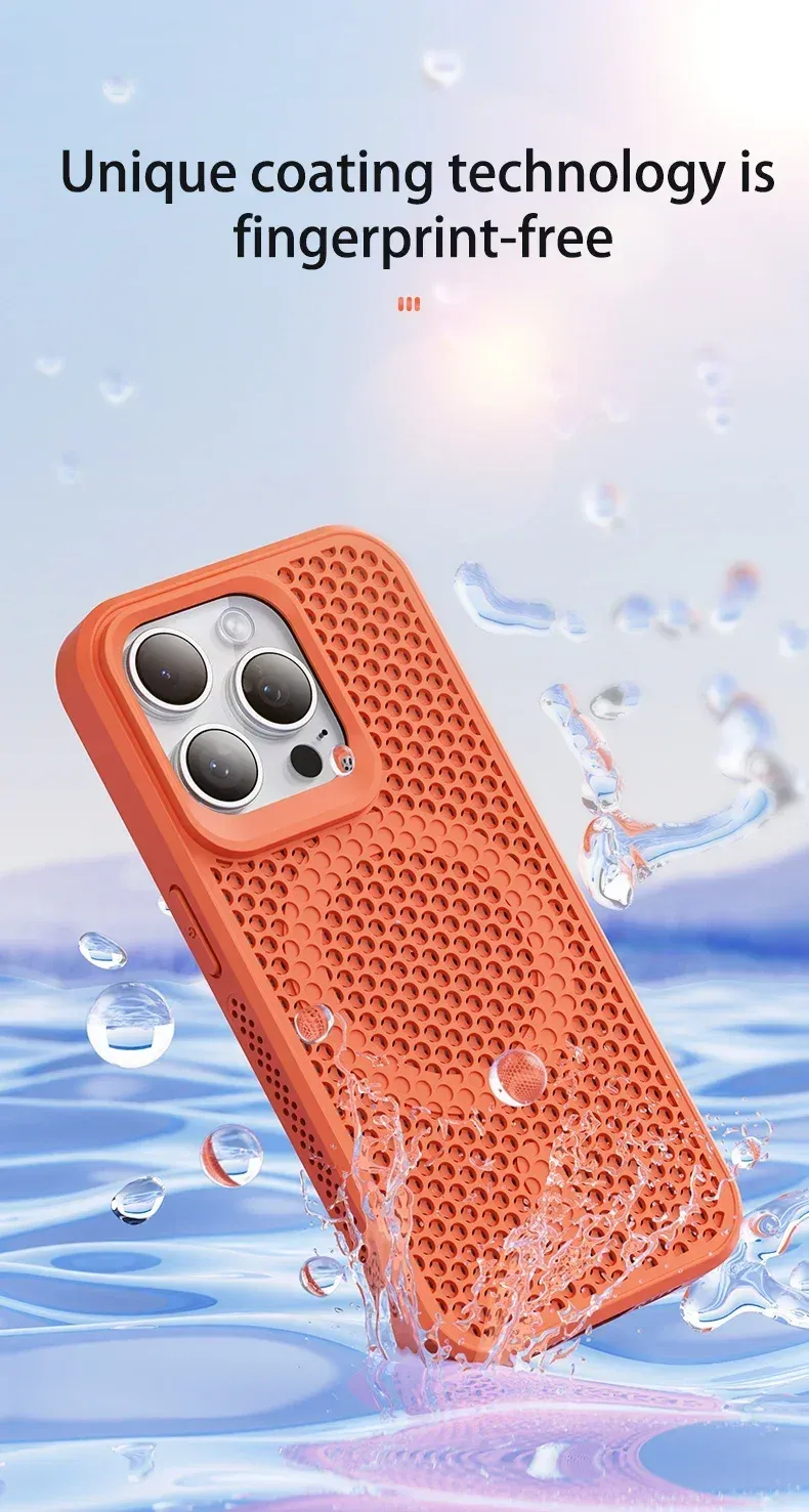 Coque présentée en détail