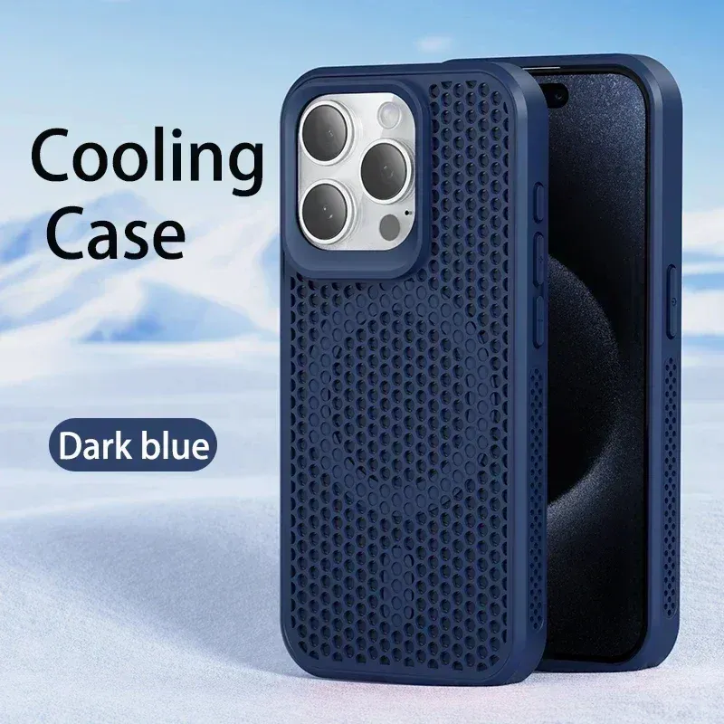 Coque, vue de face