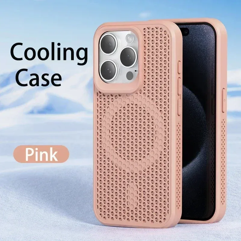 Coque, vue rapprochée