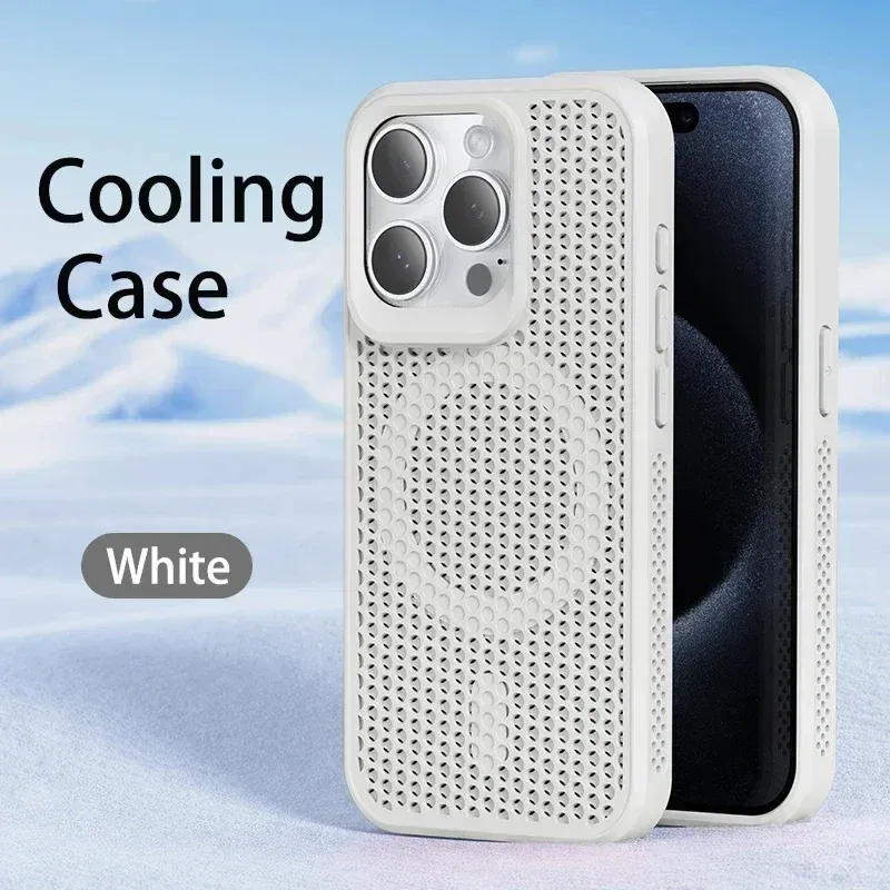 Coque, ambiance lifestyle
