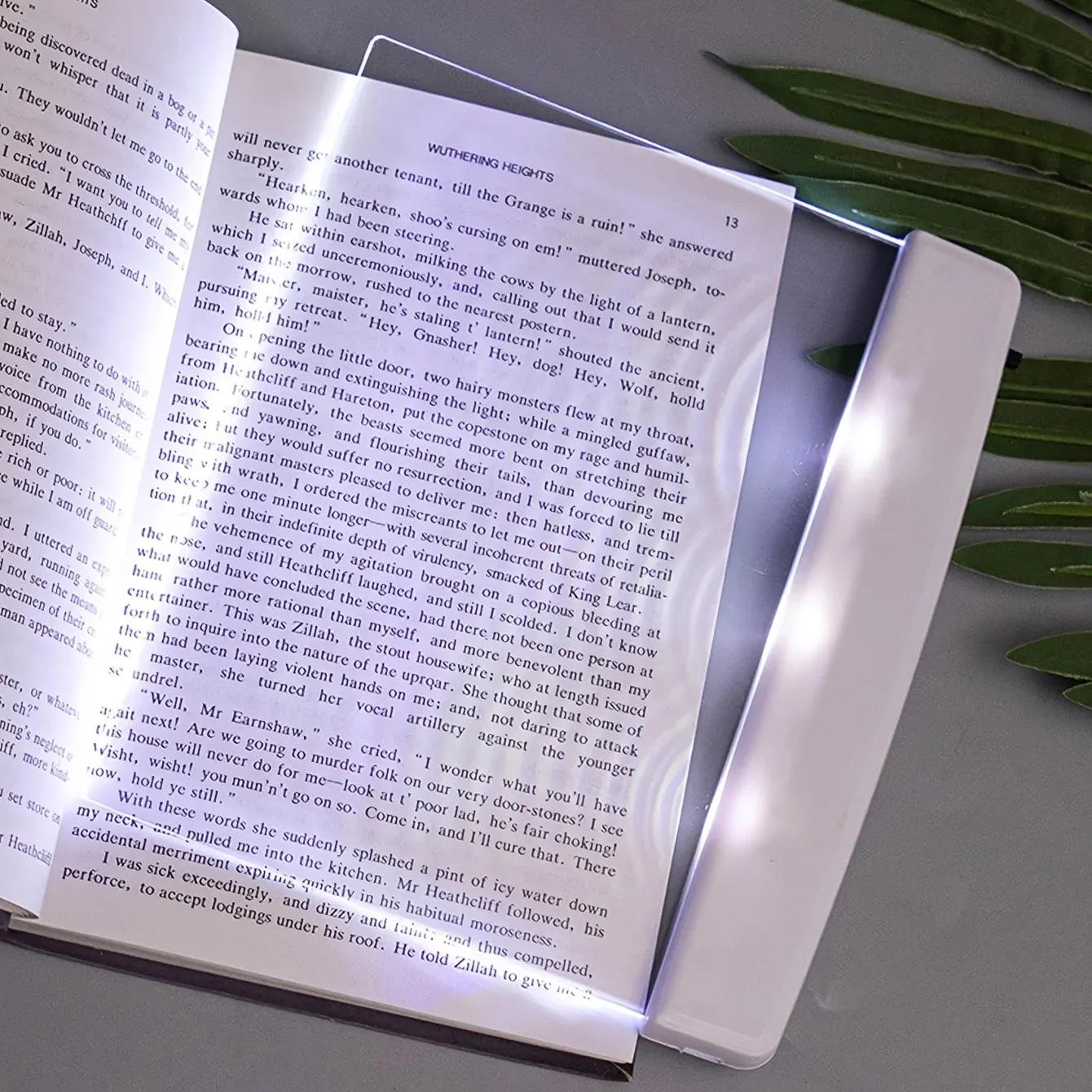 Lampe de lecture LED portable à piles, idéale pour l'étude et la lecture 2
