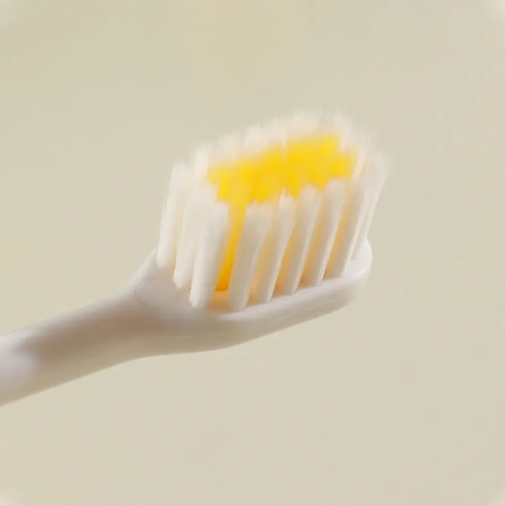Brosse à dents de voyage dans son étui ouvert
