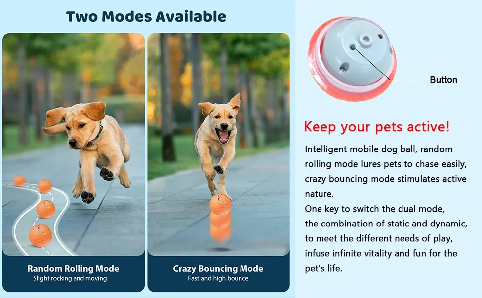 Boule interactive pour chien en action