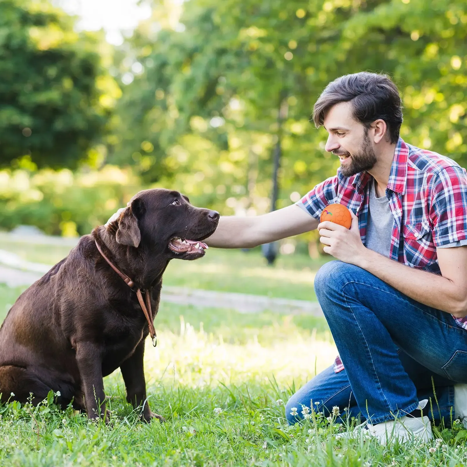 Boule intelligente pour animaux de compagnie