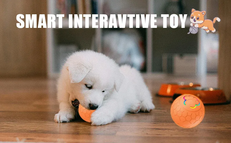 Boule intelligente pour chien vue de face