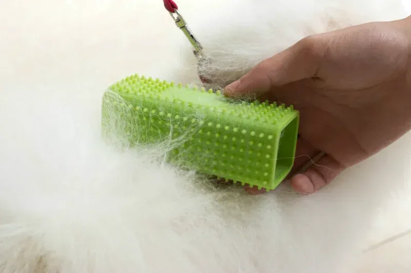 Brosse en silicone creux, mise en valeur sur un tapis