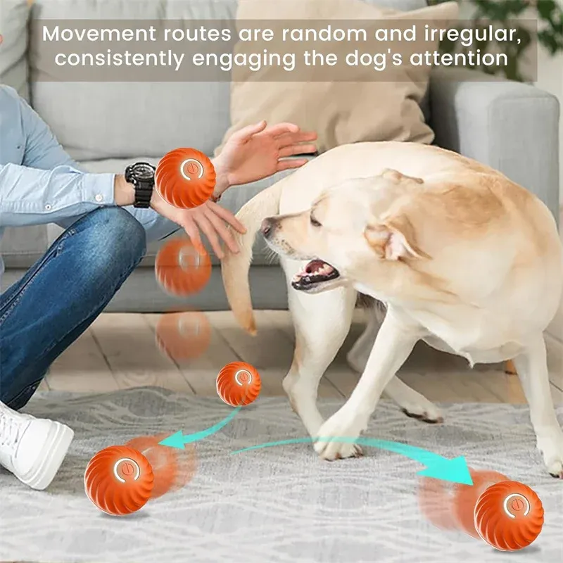 Balle interactive intelligente pour chiens et chats