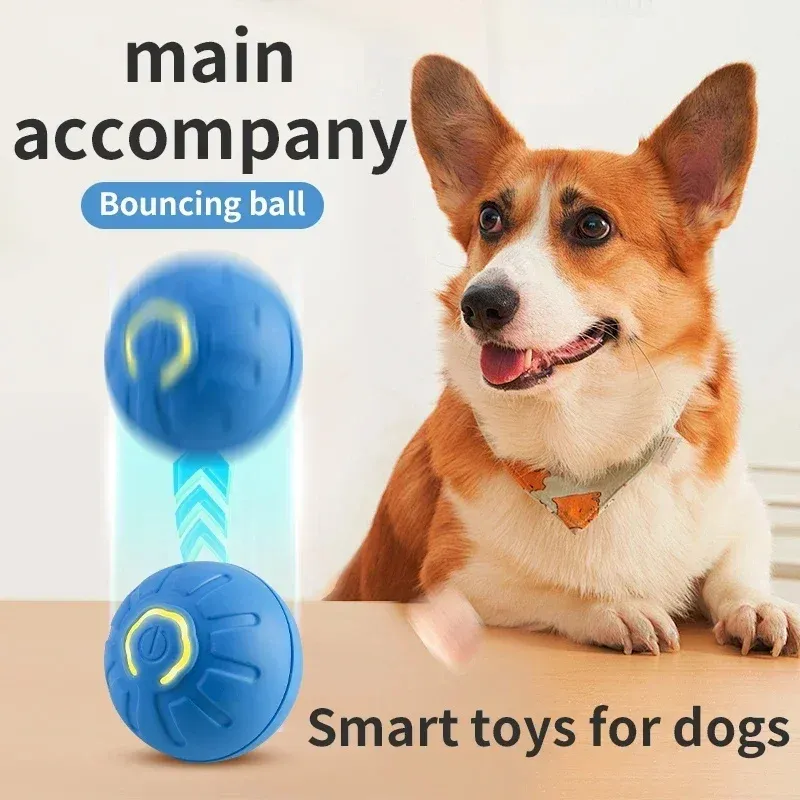 Balle interactive intelligente pour chiens et chats
