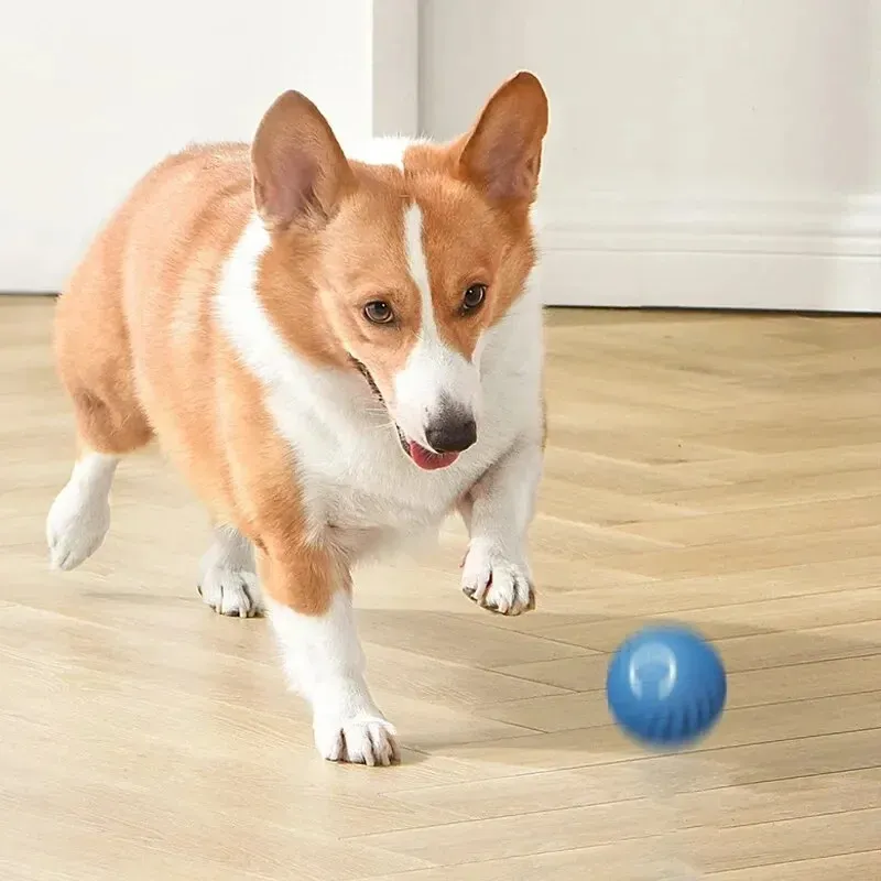 Balle interactive intelligente pour chiens et chats