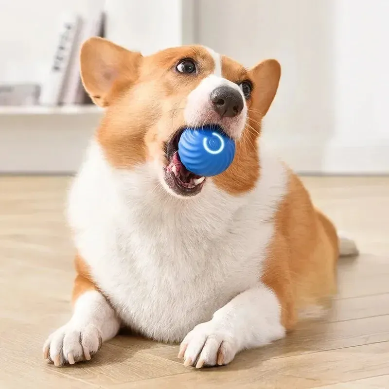 Balle interactive intelligente pour chiens et chats
