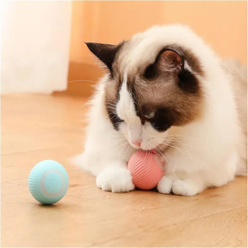 Balle interactive intelligente pour chiens et chats