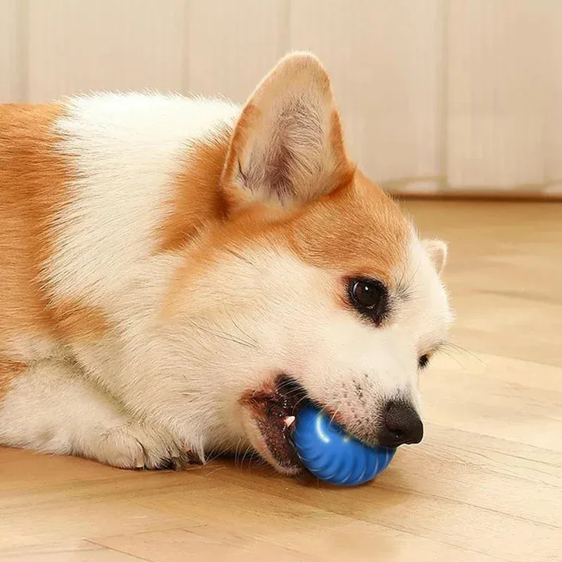 Balle interactive intelligente pour chiens et chats