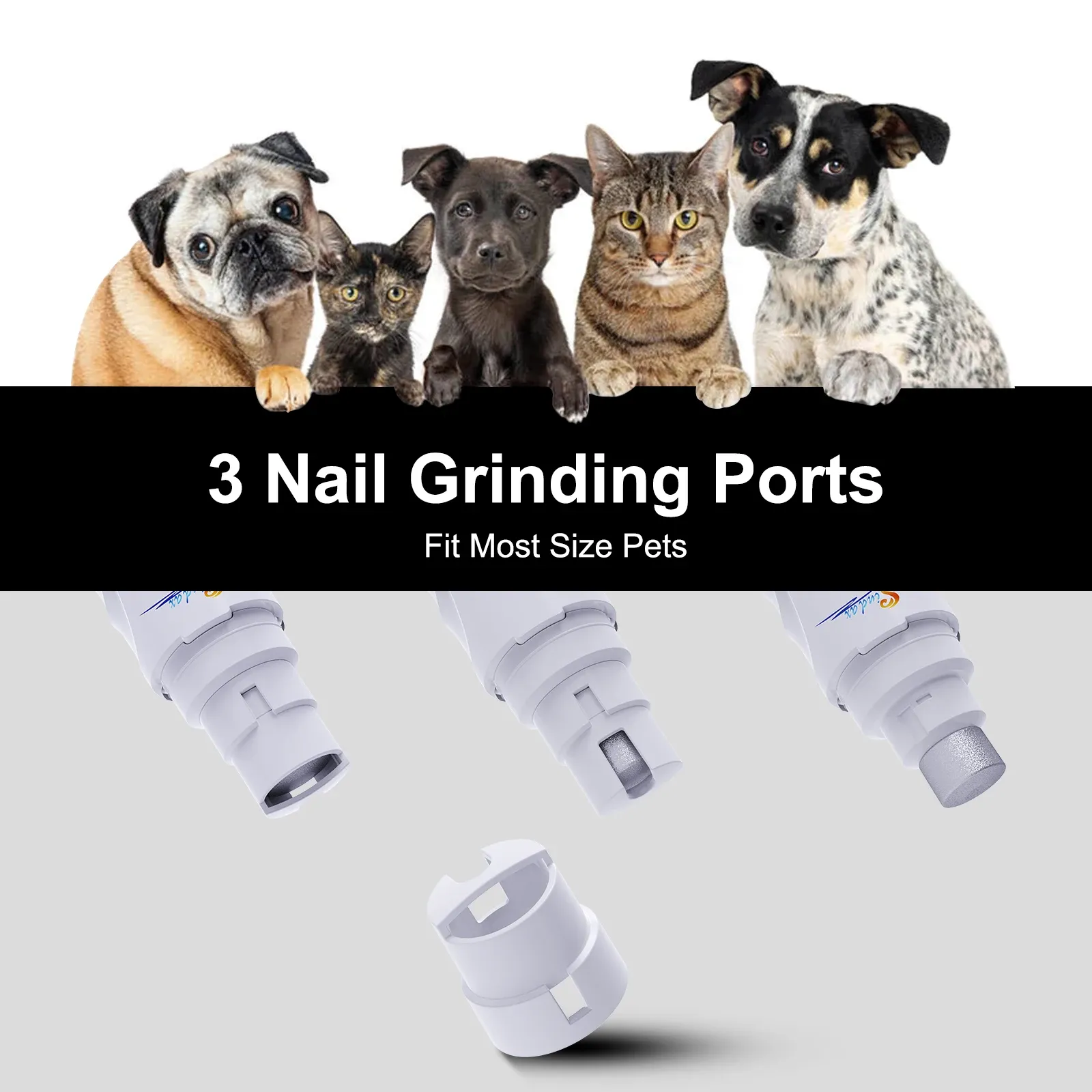 Broyeur à ongles pour chien en détail