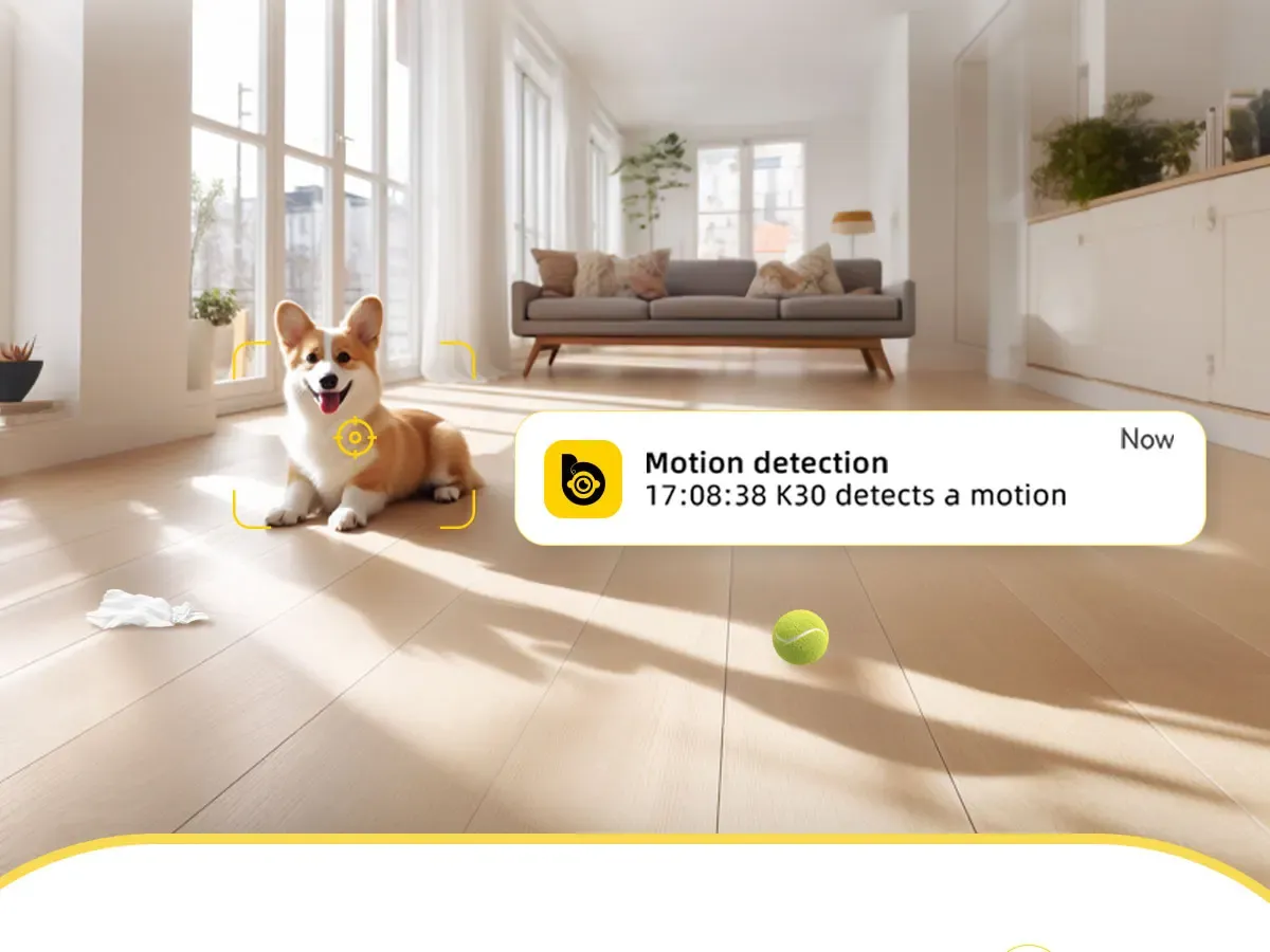 Caméra Boykeep utilisée pour surveiller un animal