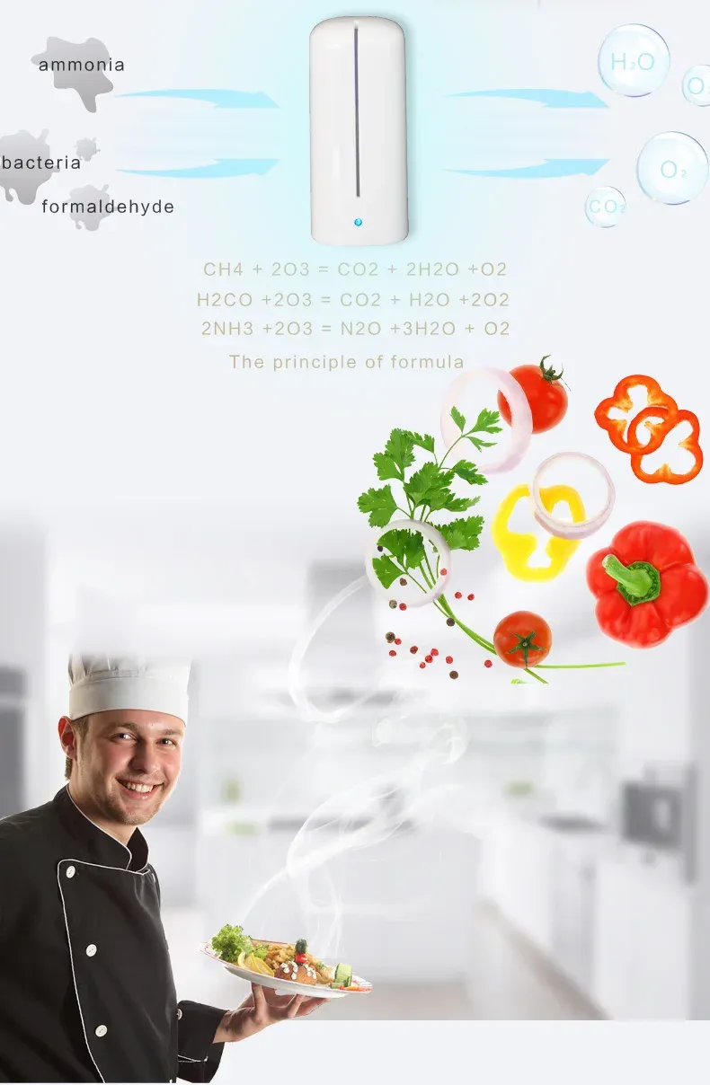 Gros plan sur le purificateur d'ozone