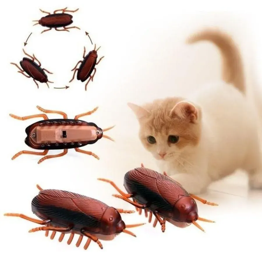 Simulation de cafard, jouet interactif pour animaux de compagnie
