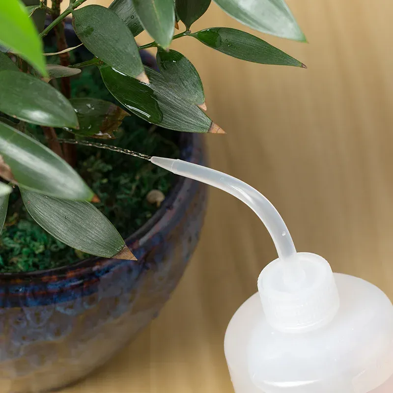 Bouilloire à bec long 150 / 250 / 500 mL pour plantes succulentes et fleurs 5