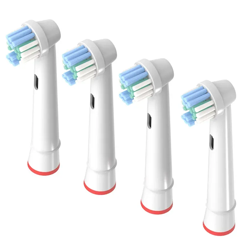 Tête de brosse vue de profil