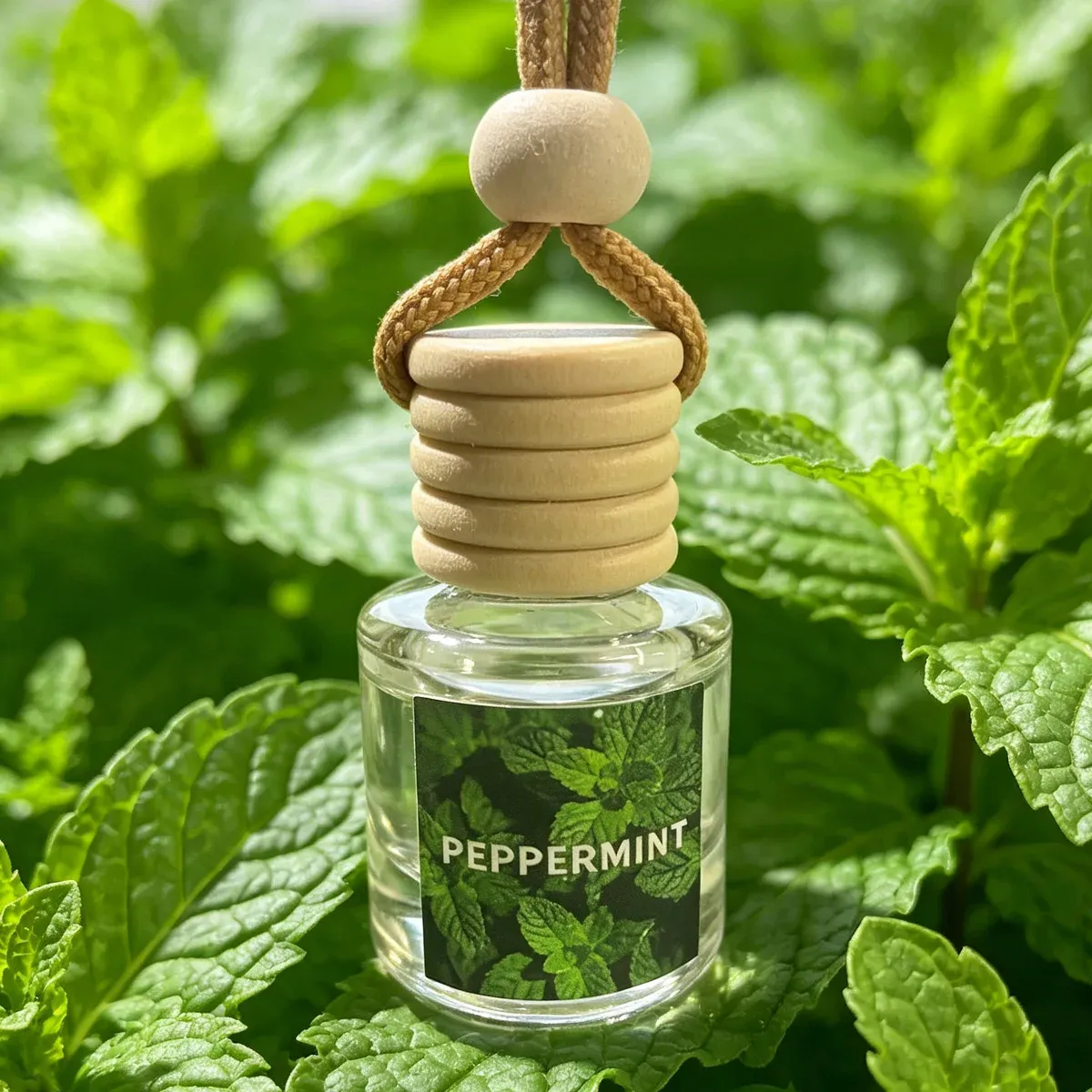 Désodorisant pour voiture aux huiles essentielles botaniques, 8 ml, parfum longue durée 6