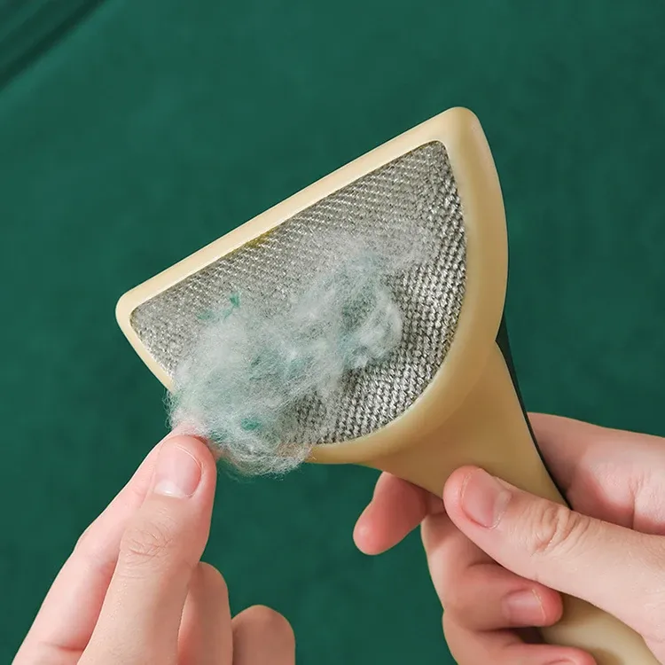 Brosse anti-peluches dans un contexte d'entretien domestique