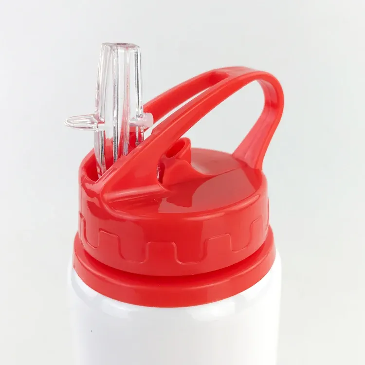 Bouteille en aluminium avec paille 600 ml, personnalisable avec logo ou photo 6