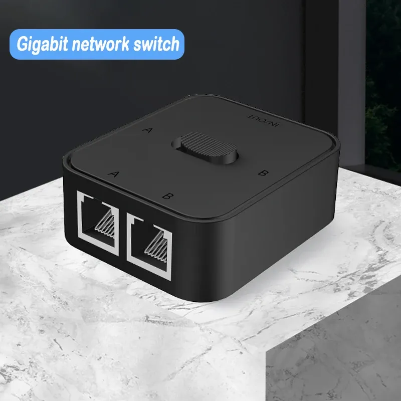 Commutateur réseau Gigabit 2 ports, vue d'ensemble