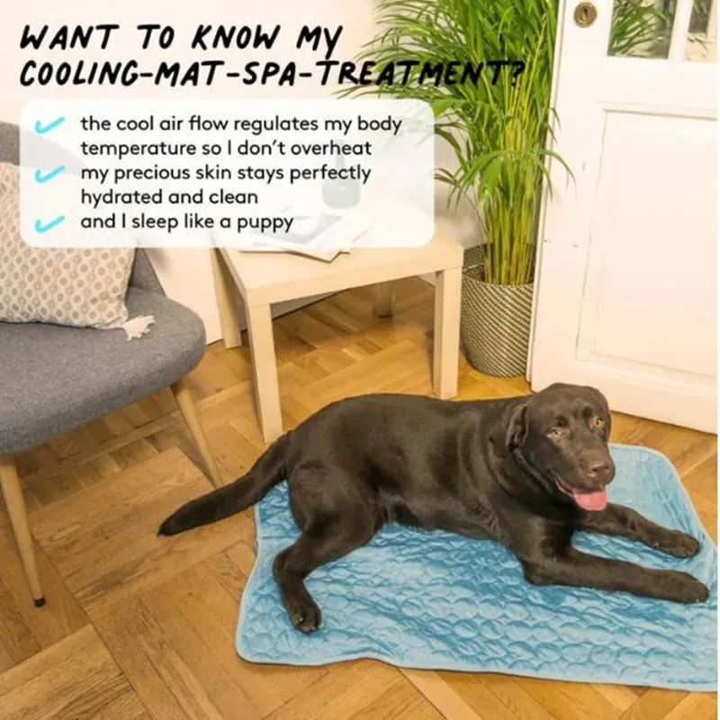 Tapis rafraîchissant pour animaux de compagnie, respirant et lavable, couverture d'été pour chien et chat, pour chenil, caisse et lit, couchage en soie glacée 4