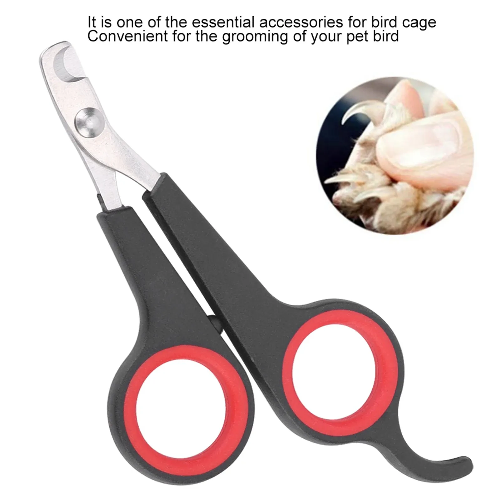 Coupe-ongles pour oiseaux, ciseaux à ongles pour perroquets et petits animaux, outil de toilettage, noir et rouge 5